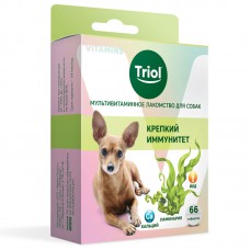 Мультивитаминное лакомство для собак "Крепкий иммунитет", 33 гр., биологически активная добавка для собак, 100 гр.