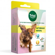 Мультивитаминное лакомство для собак "Активная жизнь", 33 гр., биологически активная добавка для собак, 100 гр.