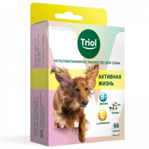 Мультивитаминное лакомство для собак "Активная жизнь", 33 гр.