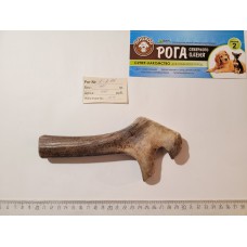 Рог северного оленя, Размер 2, для средних и крупных пород собак