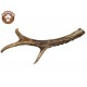 Лакомство-погрызушка "Рог косули", Размер 3 (для средних и крупных пород собак), средней жёсткости, 1 штука
